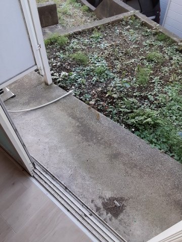 19/27 その他画像