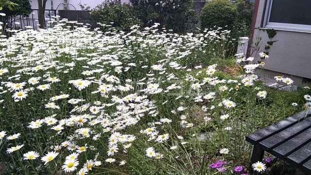 18/24 その他画像