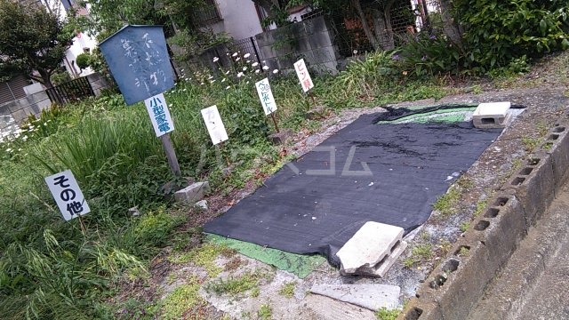 19/24 その他画像