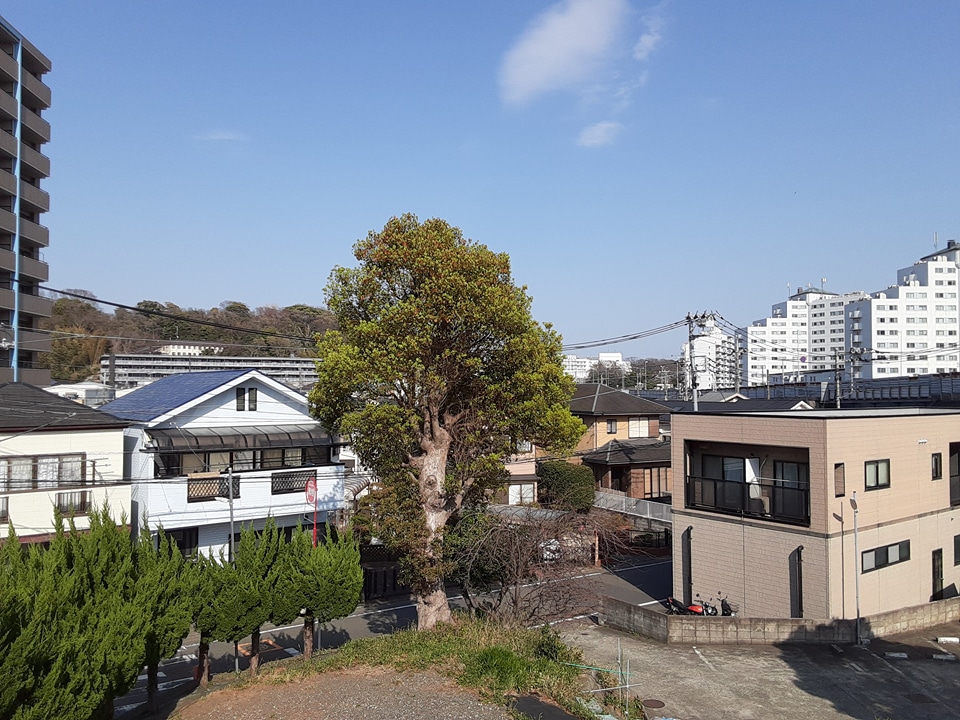 22/30 その他画像