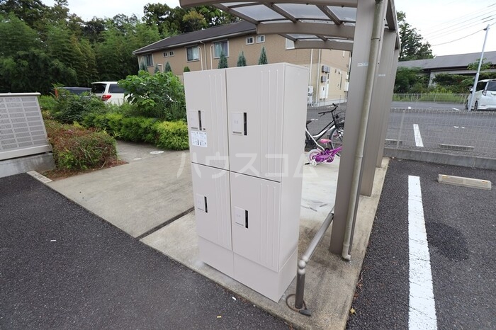 17/25 その他画像