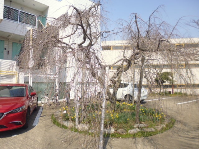 18/25 エントランス