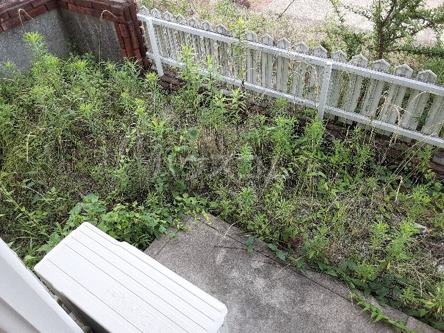 27/29 その他画像