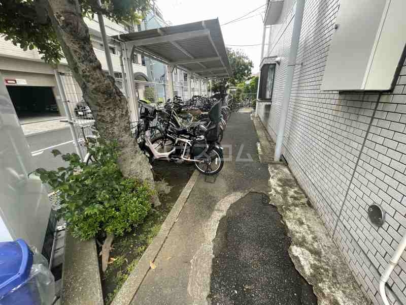 20/30 その他画像