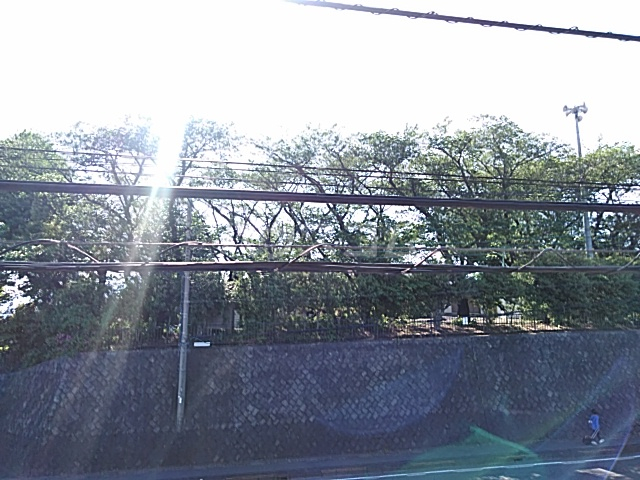 19/29 その他画像