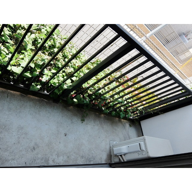 11/21 バルコニー