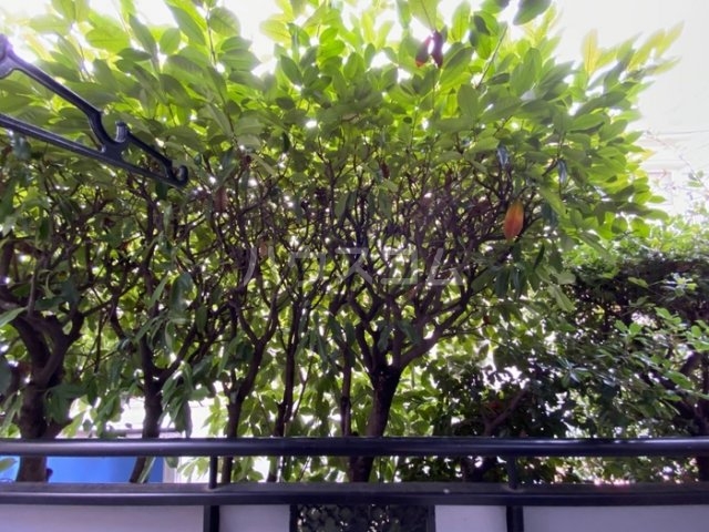 15/22 その他画像