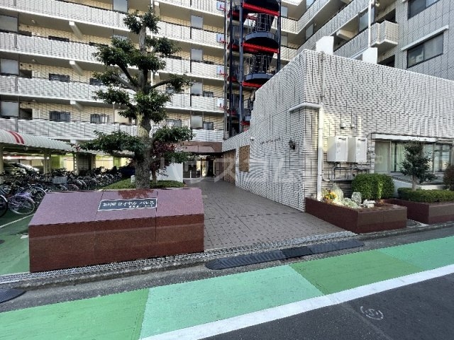 19/25 その他画像