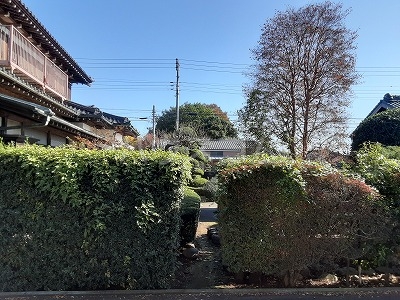 20/30 その他画像