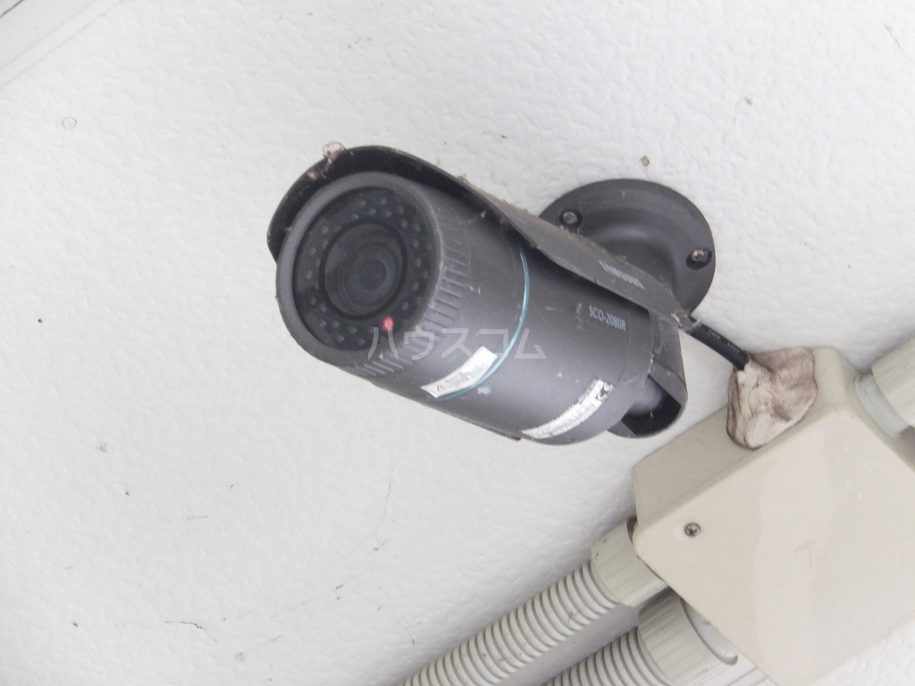 13/20 その他画像