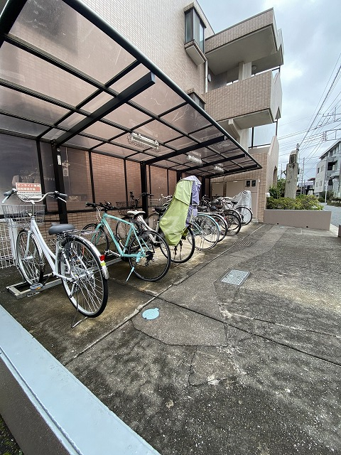 20/30 その他画像