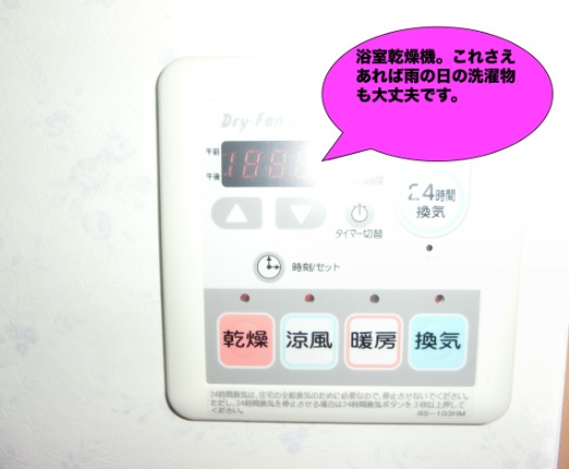 13/14 その他画像