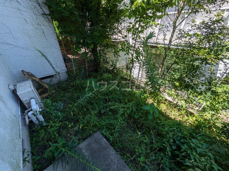 22/24 その他画像