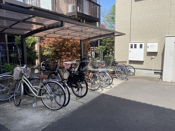 15/19 その他画像