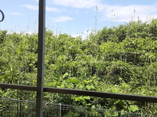 11/18 その他画像