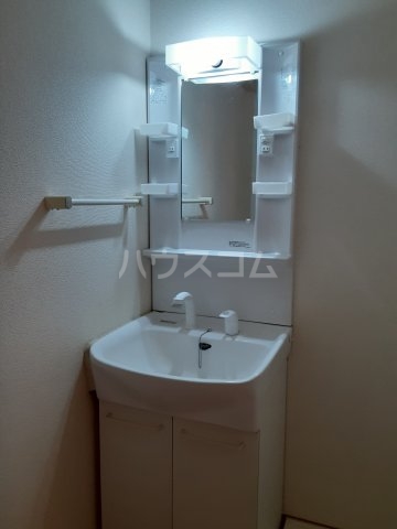 20/29 洗面