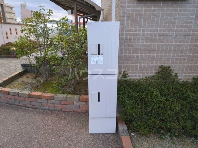 4/5 周辺