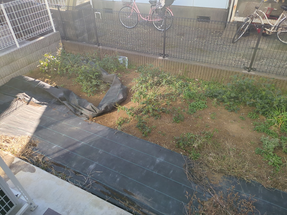 14/26 その他画像