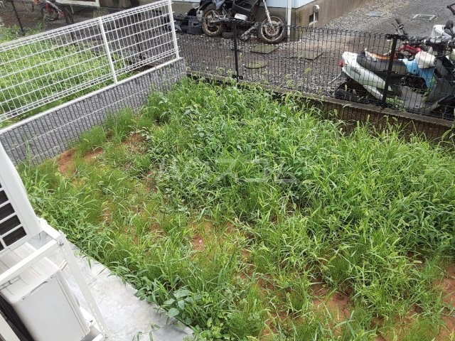 12/24 その他画像