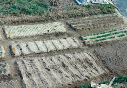 27/29 その他画像