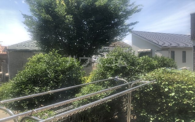 15/25 その他画像