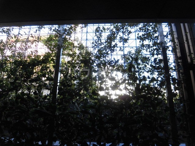 15/25 その他画像