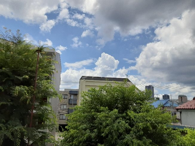 16/30 その他画像