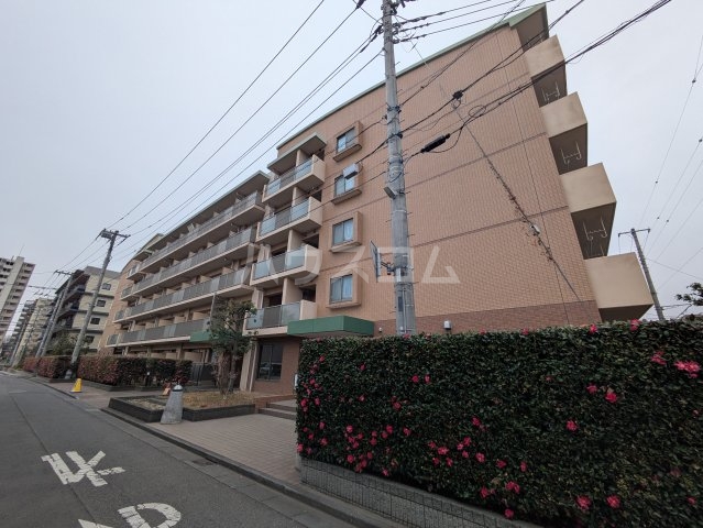 1/29 外観