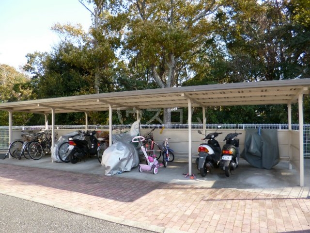 15/19 その他画像