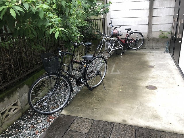 17/29 その他画像