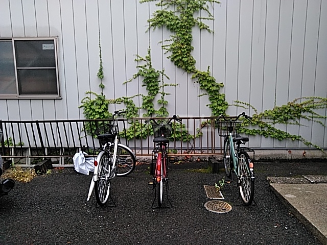 11/22 その他画像