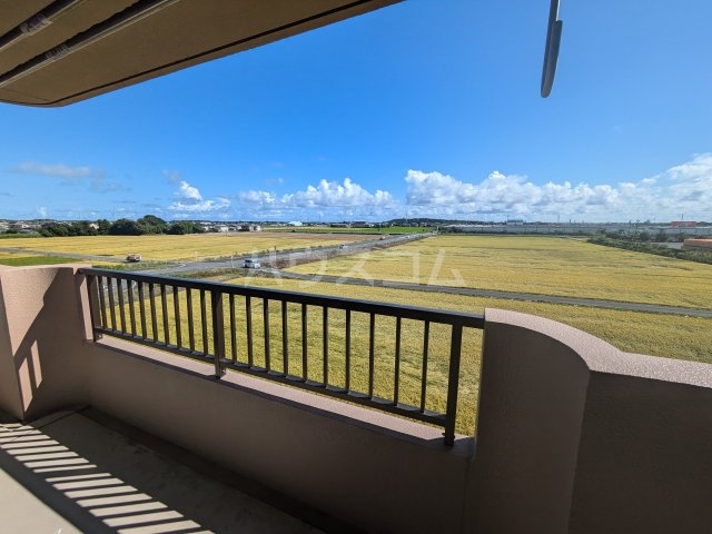 21/29 その他画像