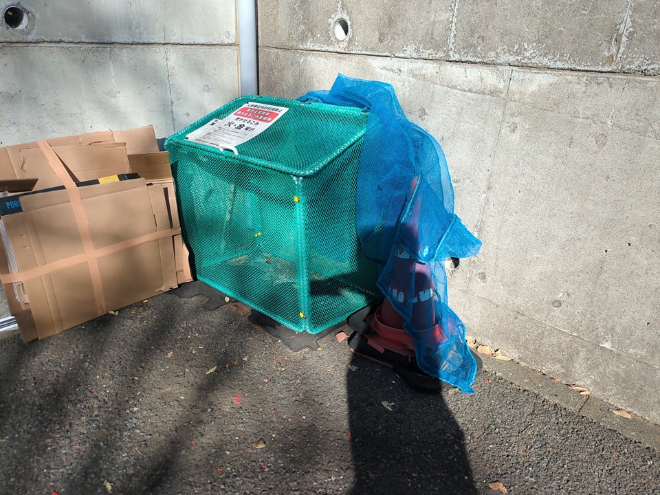 21/23 その他画像