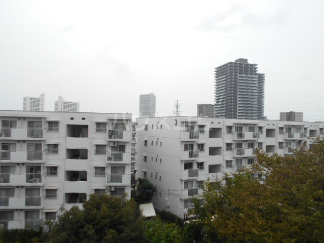 25/29 その他画像