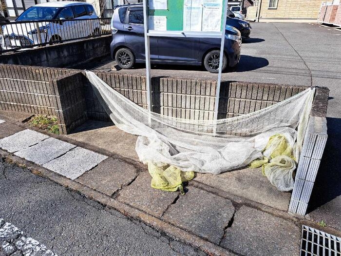 17/23 その他画像