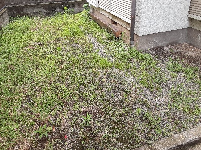 16/22 その他画像