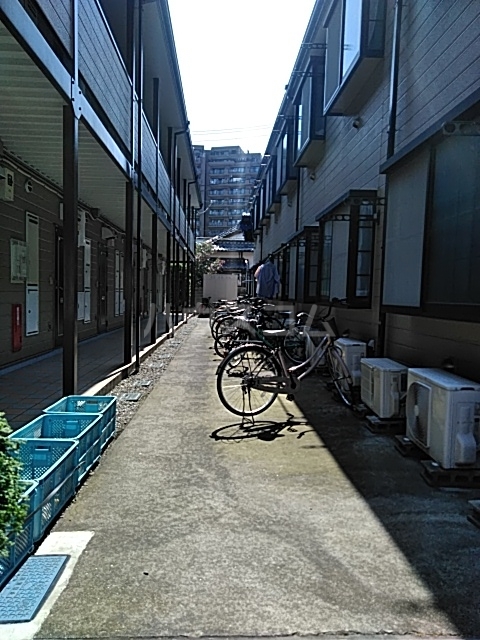 その他画像