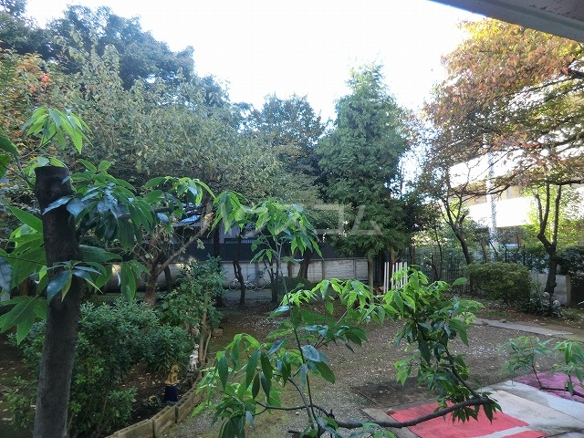 16/21 その他画像