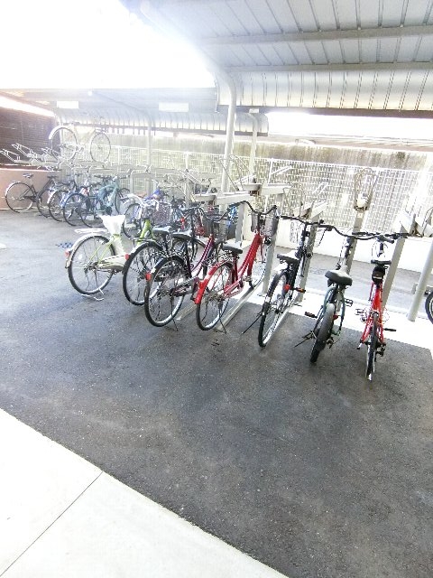 15/18 その他画像