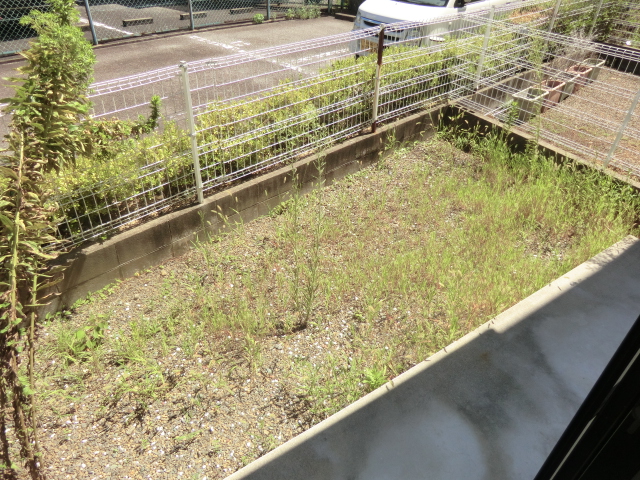 12/30 その他画像