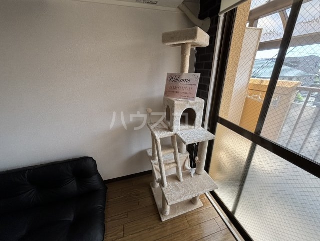 25/30 その他画像