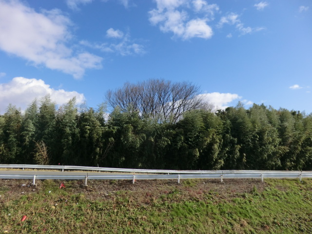 13/23 その他画像