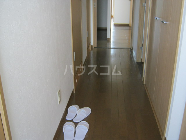 8/23 玄関