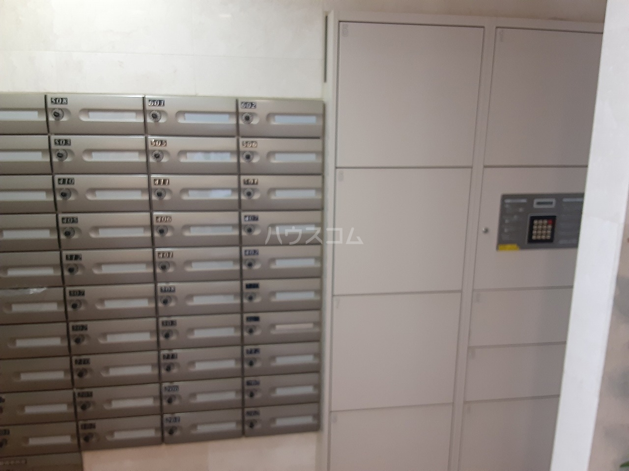 17/25 その他画像