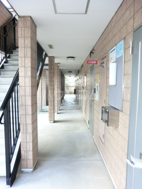 15/19 その他画像