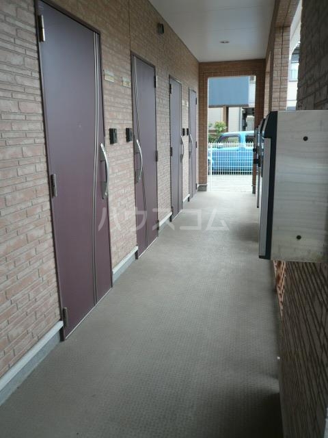 8/19 その他画像