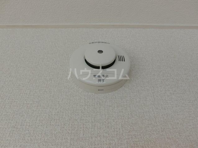 11/15 その他画像