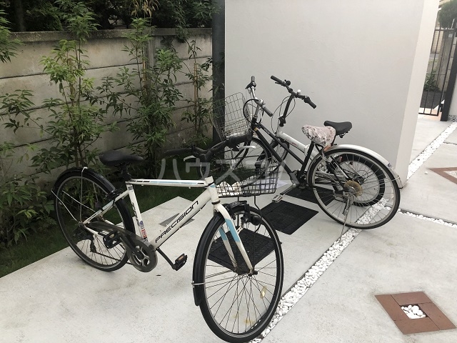 20/30 その他画像