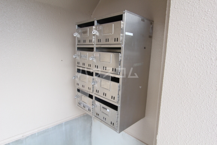 20/30 その他画像