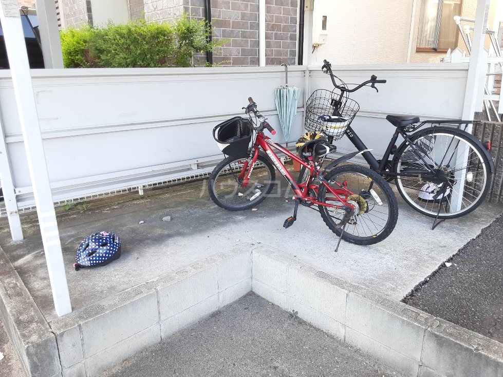 20/30 その他画像